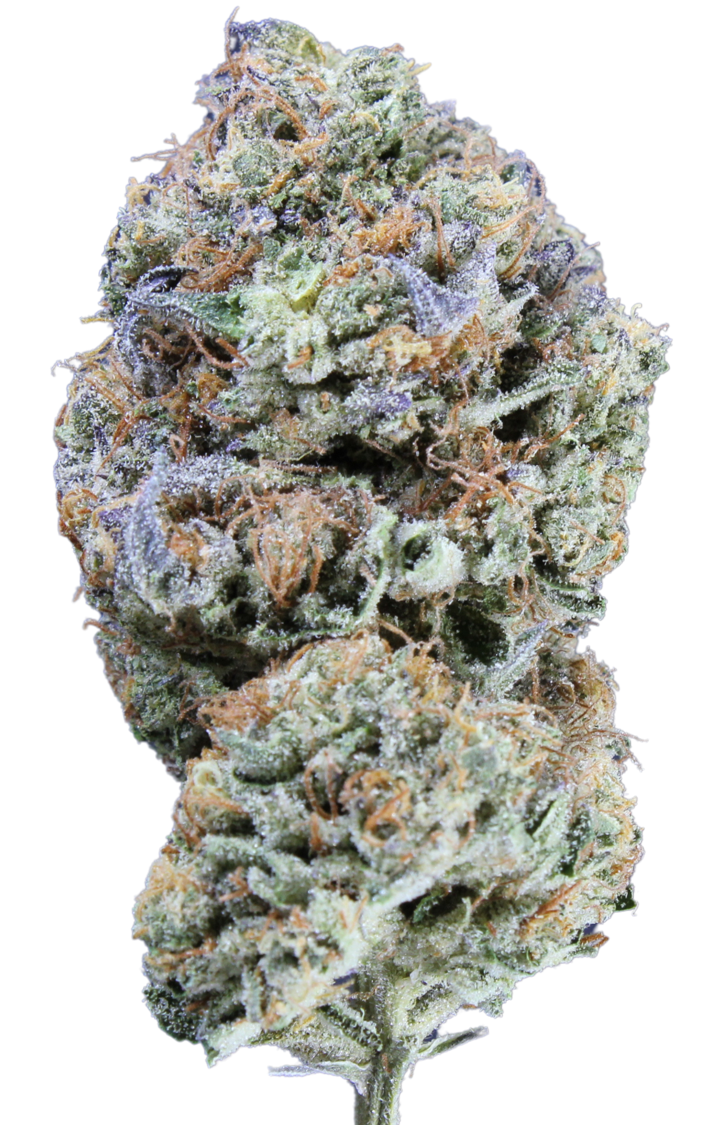 Ice Cream Cake (Wholesale)