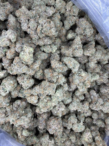 Apple Fritter