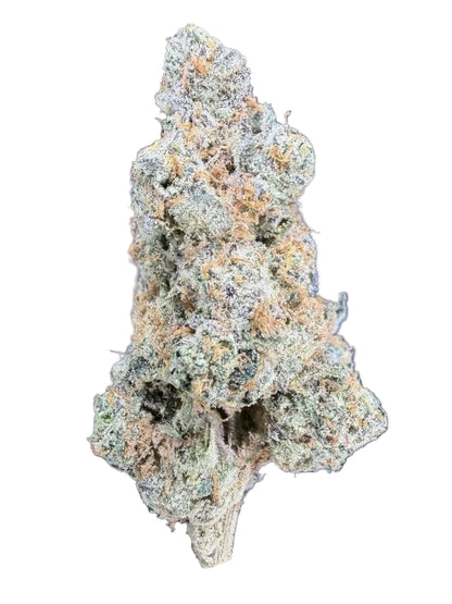 Apple Fritter